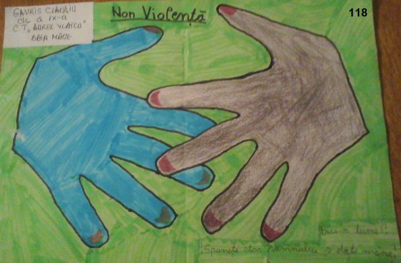 118_Claudiu GAVRIS_Col Vlaicu.jpg